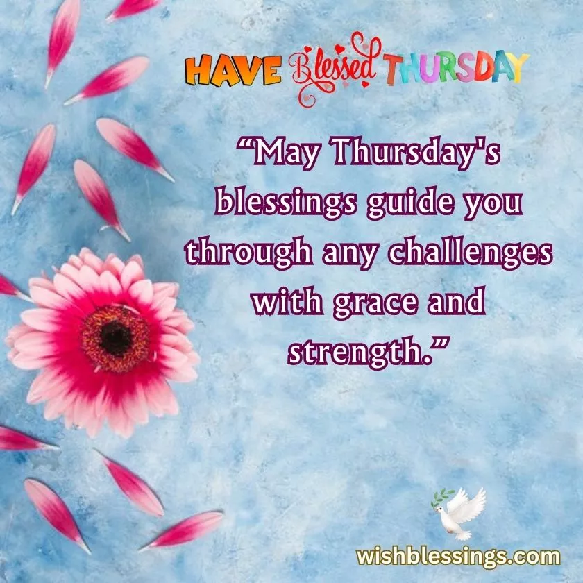 happy and blessed thursday